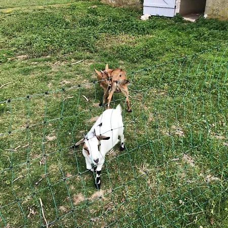 Entre Caps Et Marais La Ferme Nyaraló *